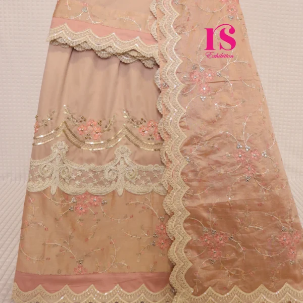 Chiku Color Base With Embroidery And Aari Work Rida